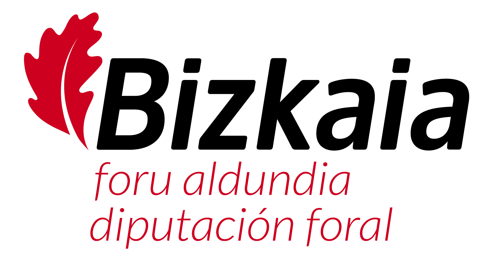 Diputacion_Bizkaia_NUEVO